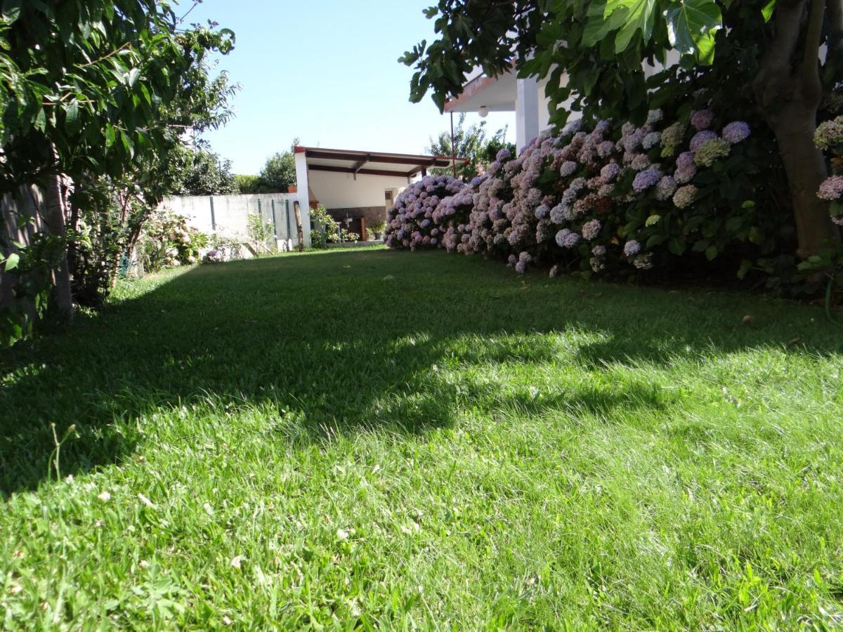 Villa Ribeiro'S House à Gafanha da Nazaré Extérieur photo